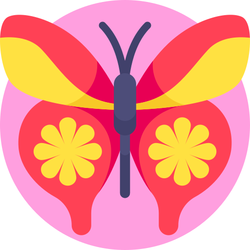 Silk butterfly